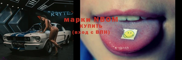 шишки Алзамай