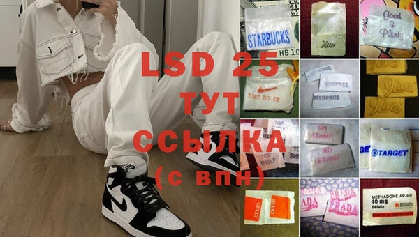 шишки Алзамай