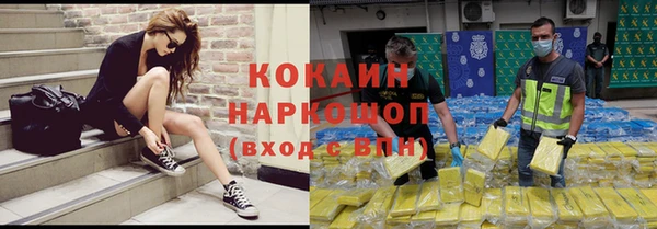 шишки Алзамай