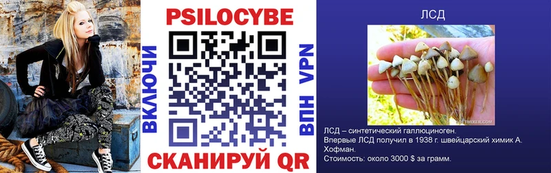 Купить закладки  Вяземский  Галлюциногенные грибы мухоморы 